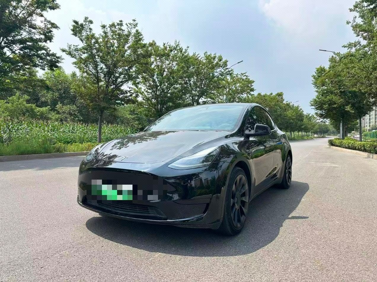 Tesla Model Y 2022 Tesla Model Y 2022 car image