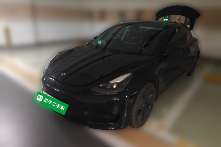 Tesla Model 3 2021 #2 Tesla Model 3 2021 car image #2