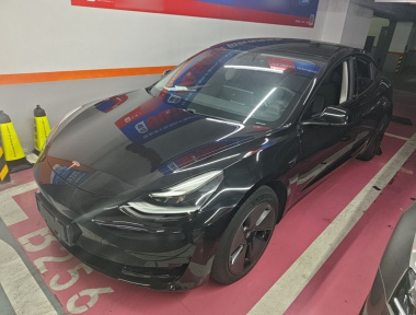 Tesla Model 3 2021 car image 
