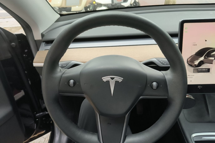 Tesla Model Y 2022 car image #11