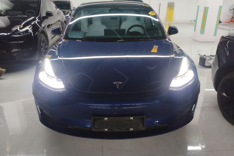 Tesla Model 3 2021 #3 Tesla Model 3 2021 car image #3