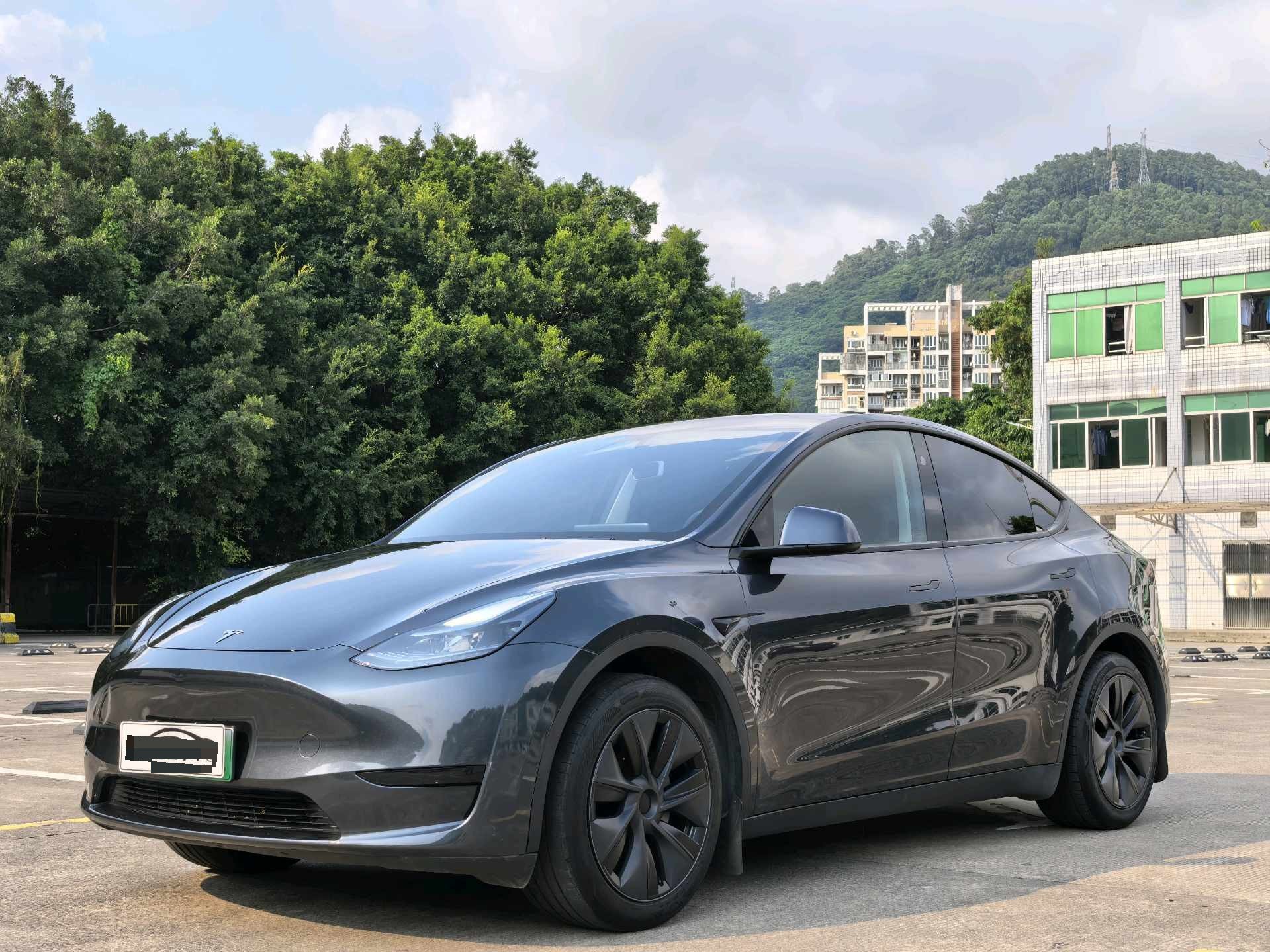 Tesla Model Y 2024 car image 