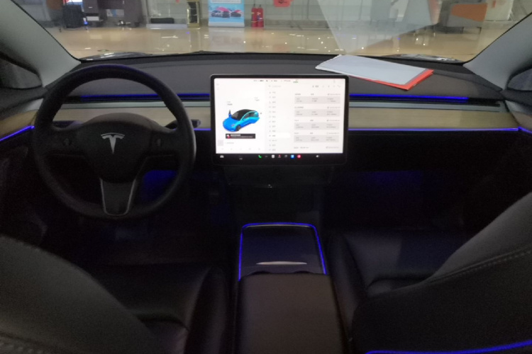 Tesla Model 3 2021 #10 Tesla Model 3 2021 car image #10