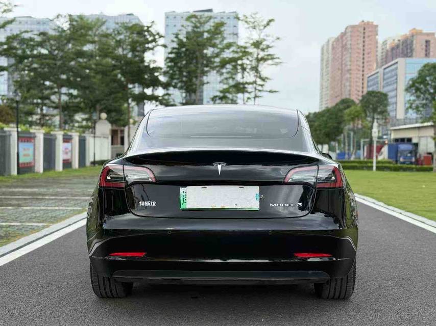 Tesla Model 3 2021 #11 Tesla Model 3 2021 car image #11