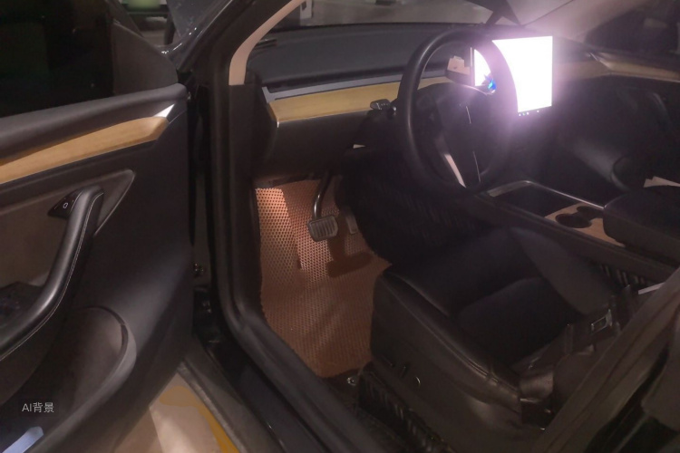 Tesla Model Y 2021 car image #18