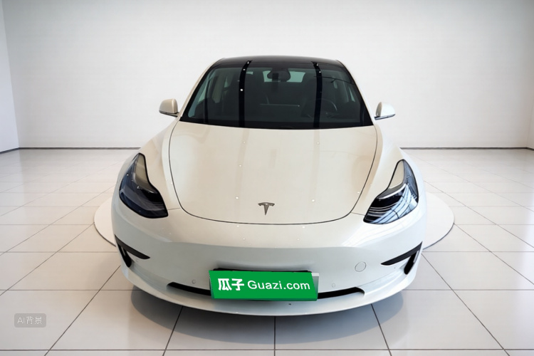 Tesla Model 3 2020 #3 Tesla Model 3 2020 car image #3