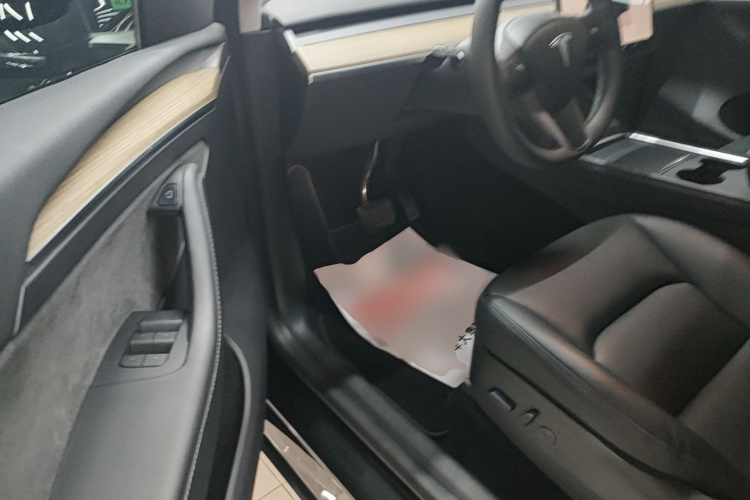 Tesla Model Y 2022 car image #15