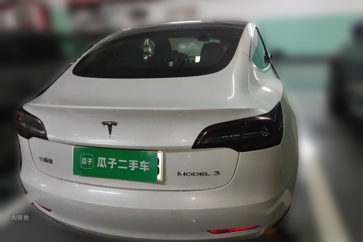 Tesla Model 3 2020 car image #6