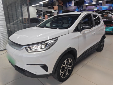 BYD Yuan Pro 2021 car image 