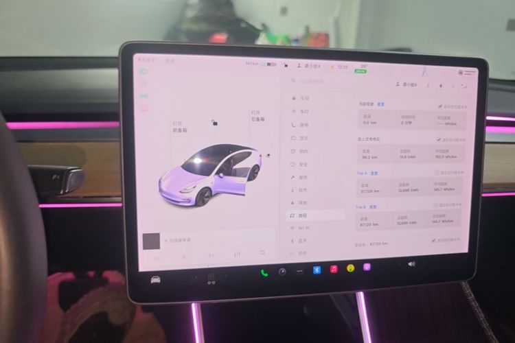Tesla Model 3 2020 #17 Tesla Model 3 2020 car image #17