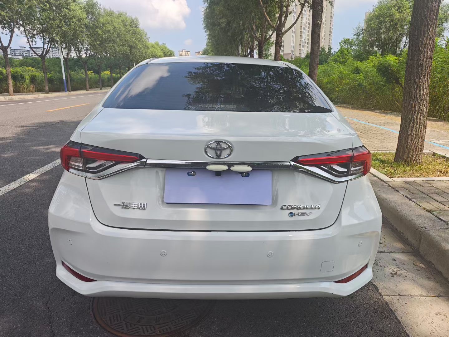 Toyota Corolla 2024 #9 Toyota Corolla 2024 car image #9