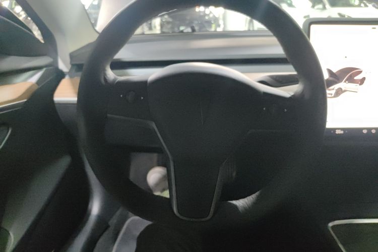 Tesla Model 3 2022 #11 Tesla Model 3 2022 car image #11