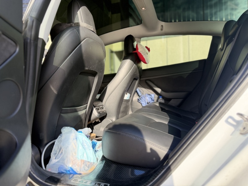 Tesla Model 3 2021 car image #10