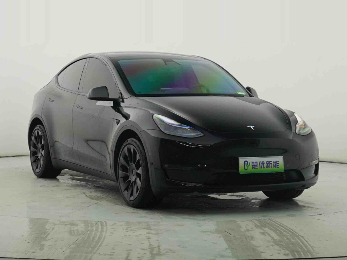 Tesla Model Y 2021 Tesla Model Y 2021 car image