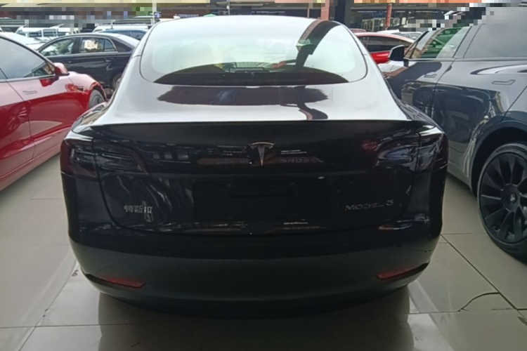 Tesla Model 3 2020 car image #6