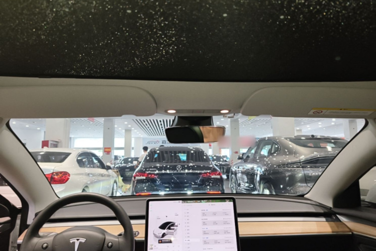 Tesla Model 3 2023 #20 Tesla Model 3 2023 car image #20
