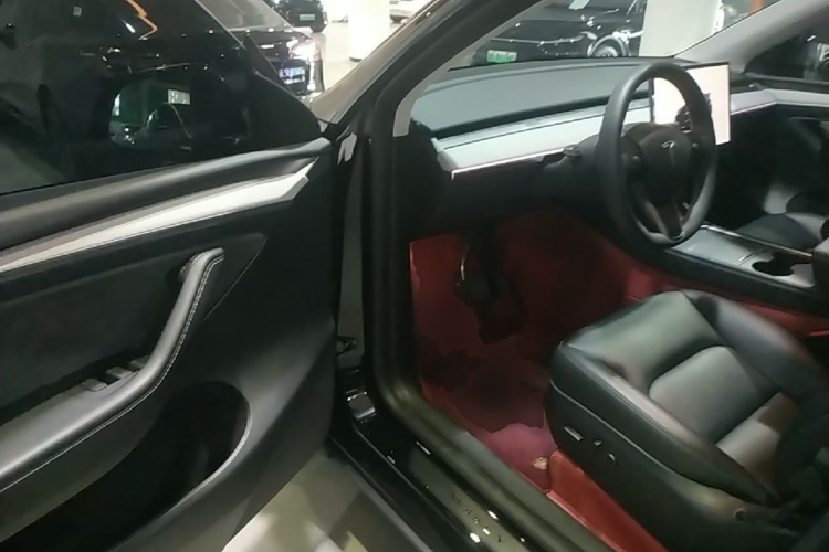 Tesla Model Y 2024 car image #16