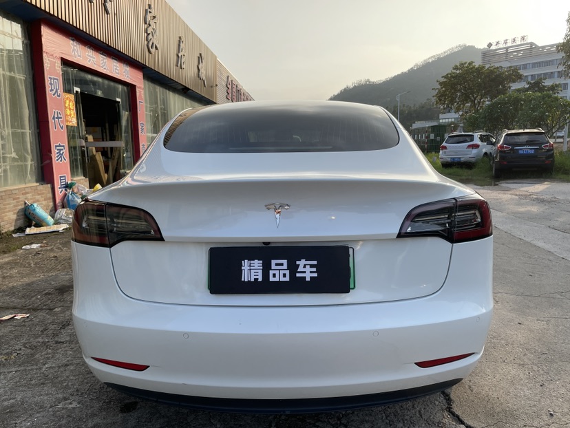 Tesla Model 3 2020 car image #7