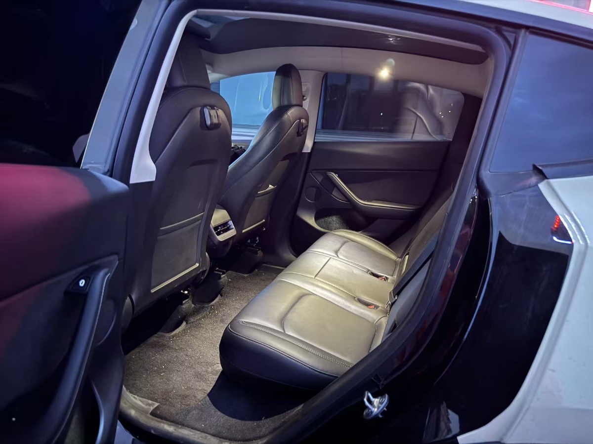 Tesla Model Y 2021 car image #3