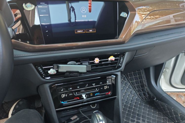 Volkswagen Tharu 2021 car image #13