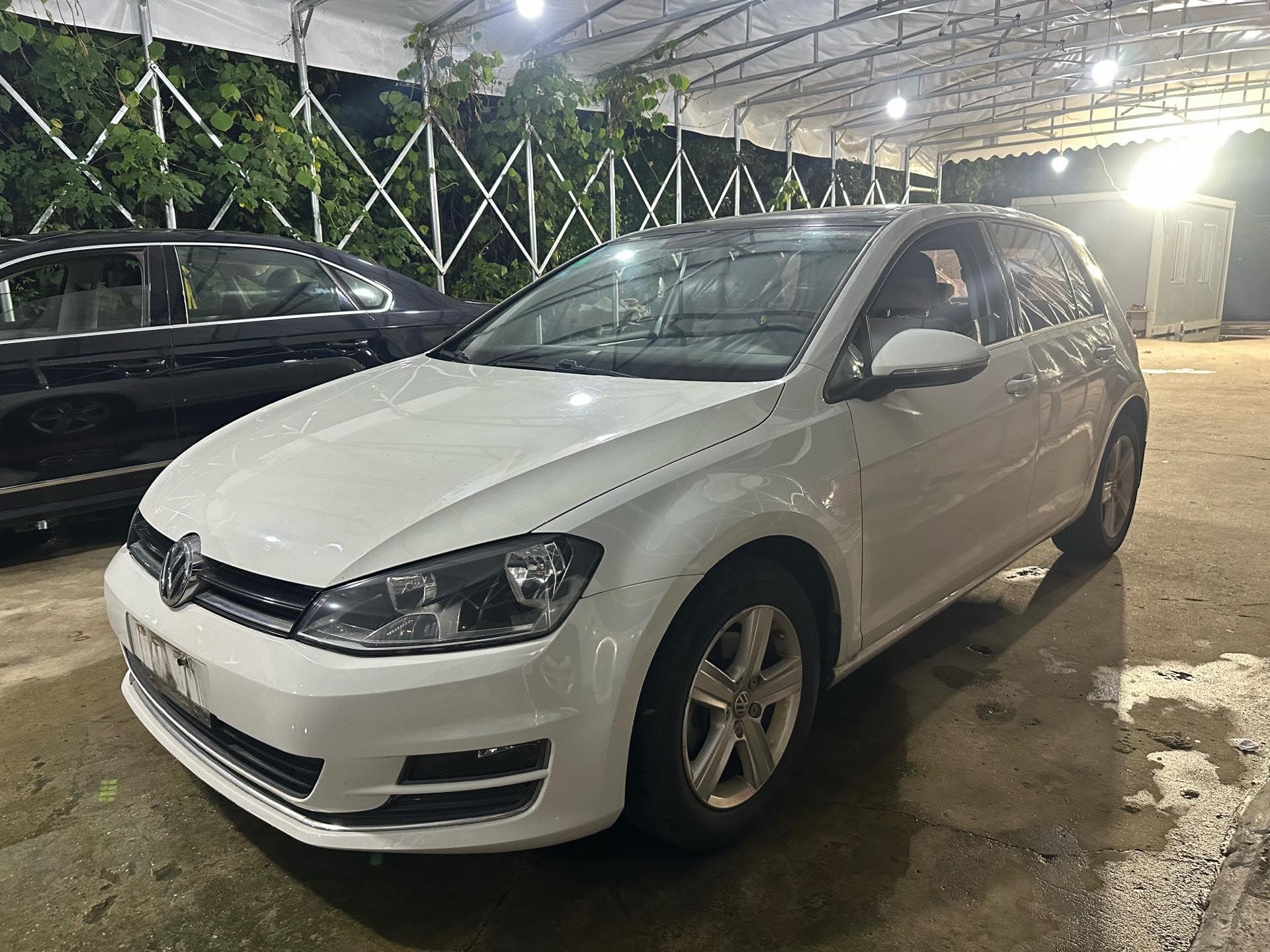 Volkswagen Golf 2014 car image 