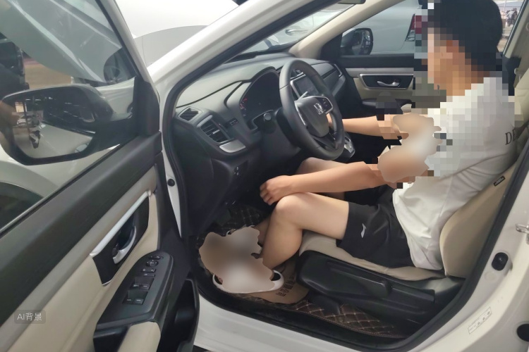 Honda CR-V 2019 car image #18
