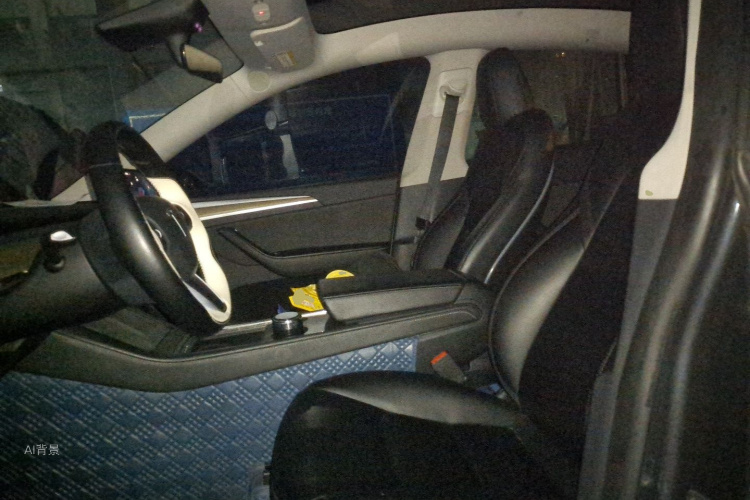 Tesla Model Y 2023 car image #17