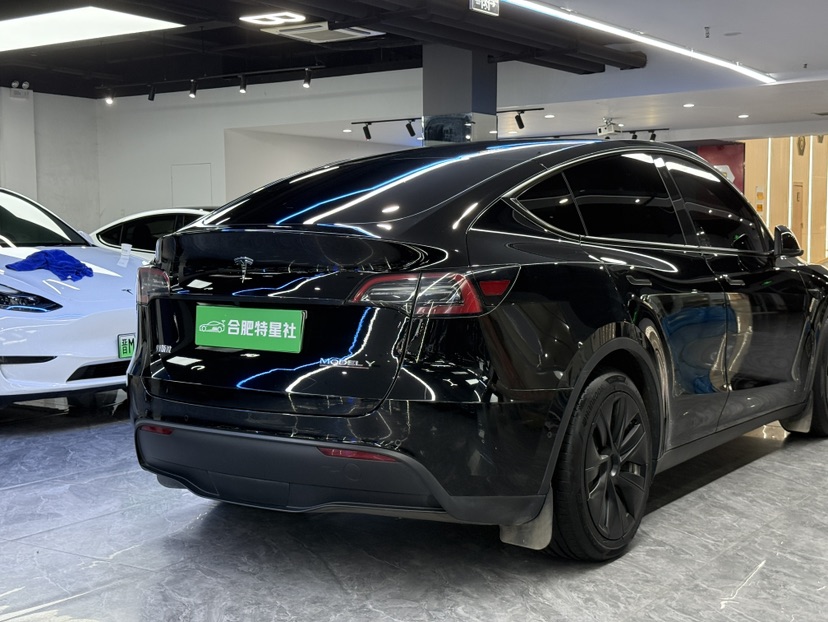 Tesla Model Y 2022 car image #9