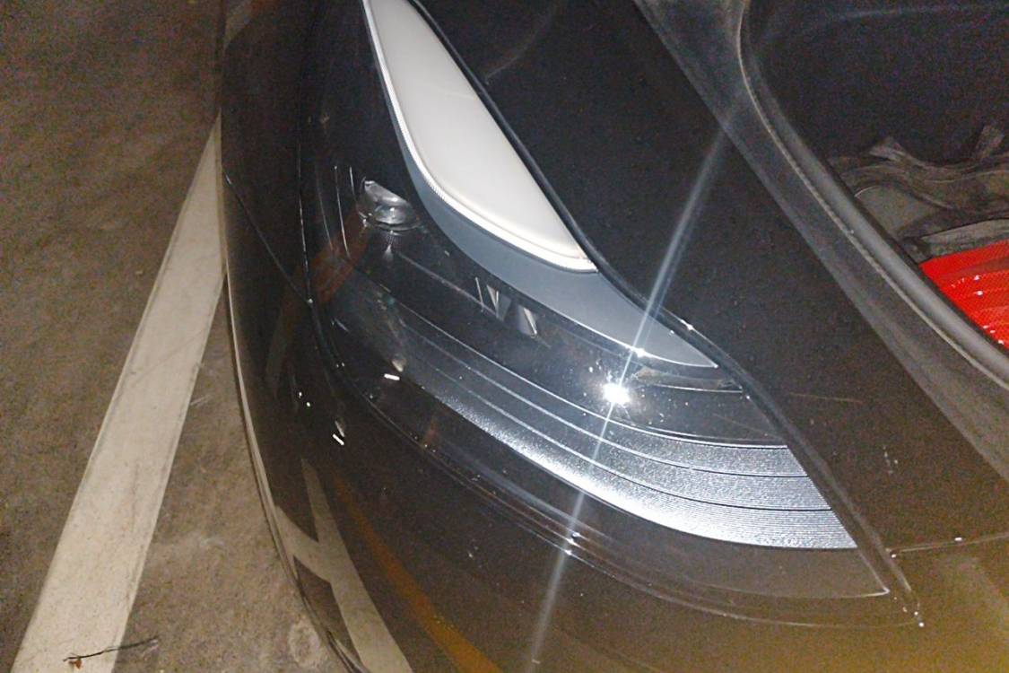 Tesla Model Y 2024 #7 Tesla Model Y 2024 imagem de carro #7