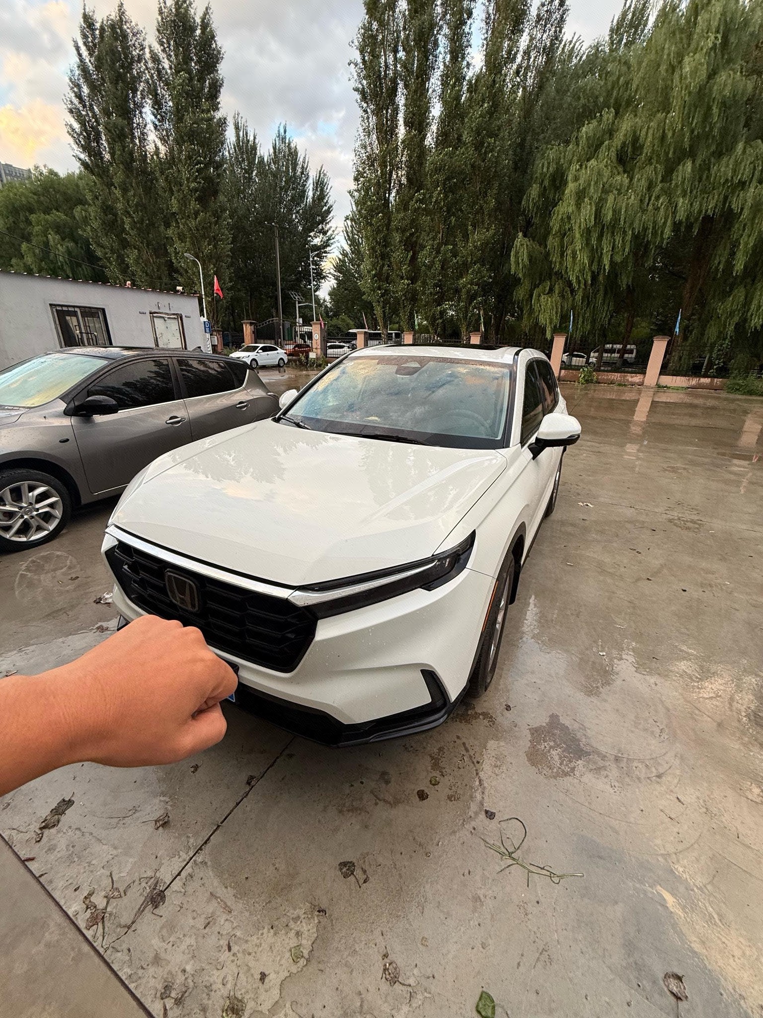 Honda CR-V 2023 car image 