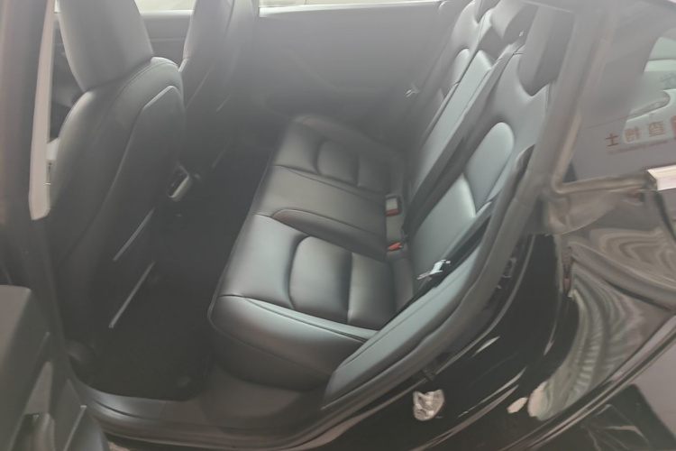 Tesla Model 3 2020 car image #17