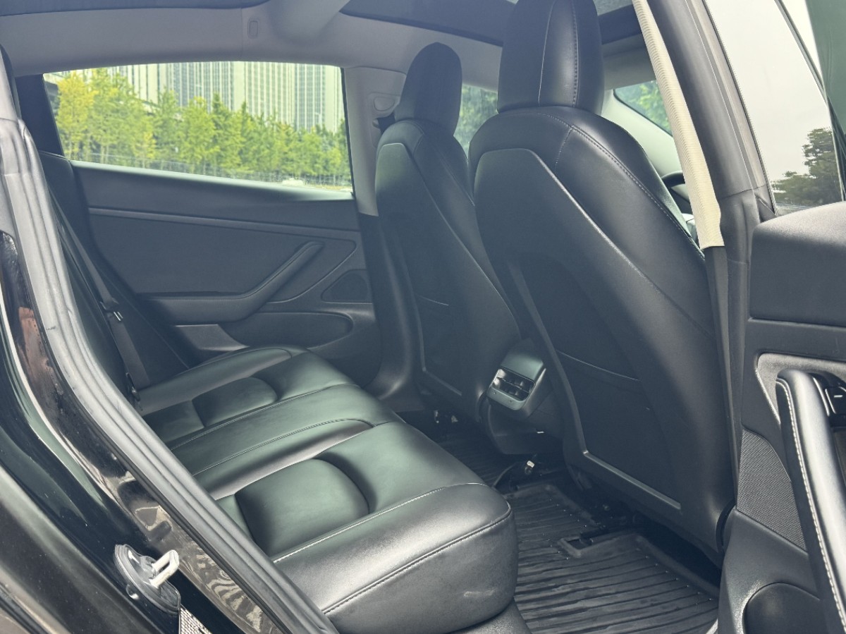 Tesla Model 3 2021 #5 Tesla Model 3 2021 car image #5