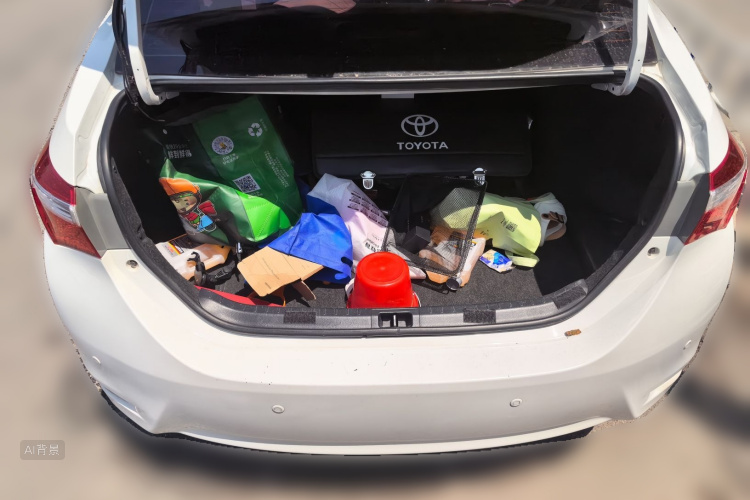 Toyota Corolla 2016 imagen de coche #21