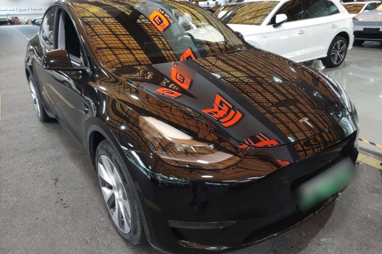 Tesla Model Y 2021 car image #4