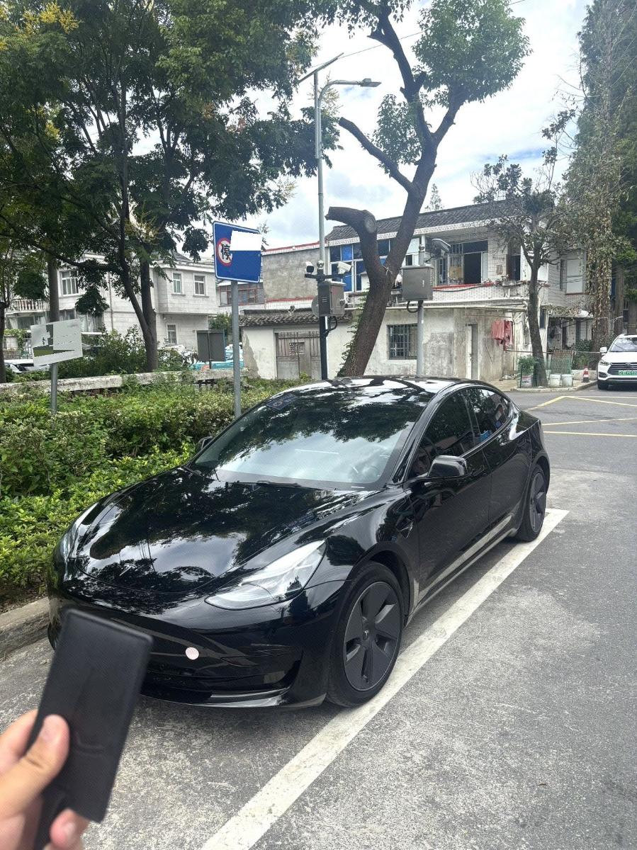 Tesla Model 3 2023 car image 