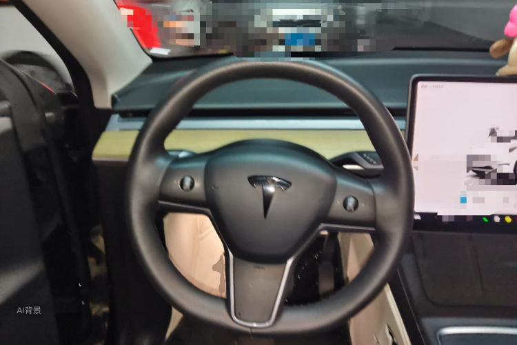 Tesla Model Y 2023 car image #12