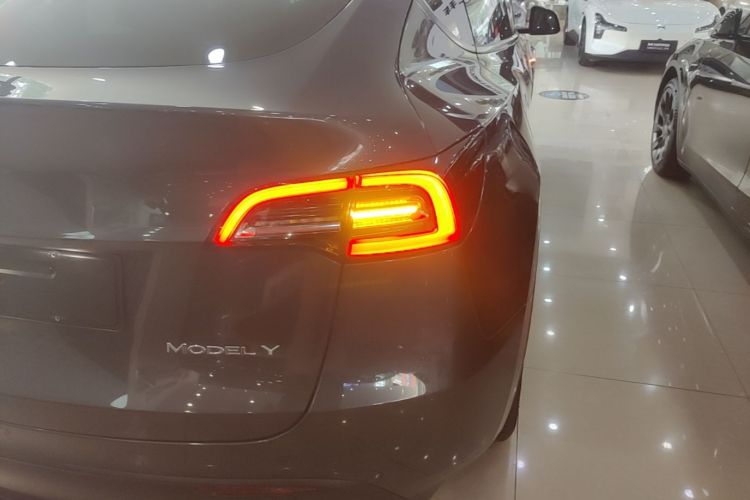 Tesla Model Y 2021 car image #8