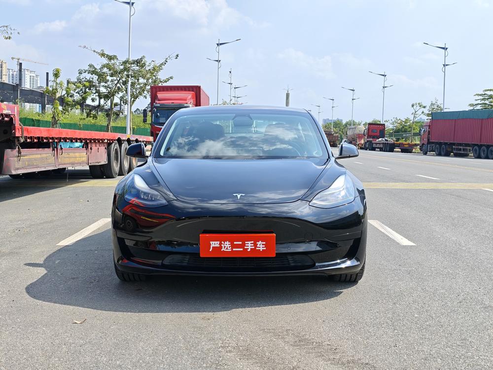 Tesla Model 3 2021 #11 Tesla Model 3 2021 car image #11