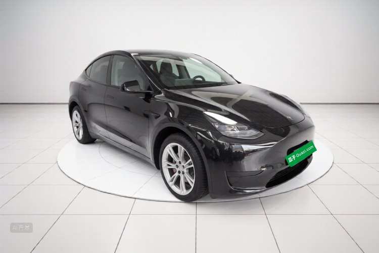 Tesla Model Y 2022 car image #4