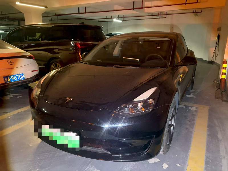 Tesla Model 3 2022 Tesla Model 3 2022 car image