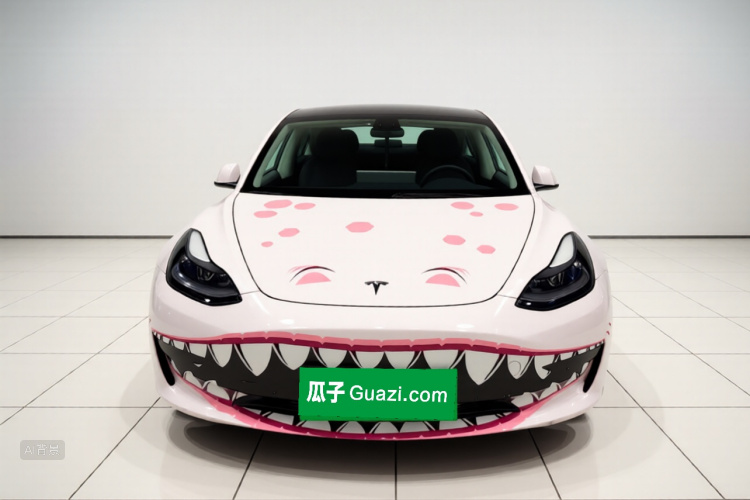 Tesla Model 3 2022 car image #3