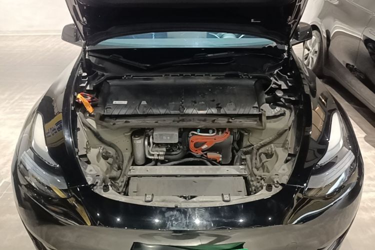Tesla Model Y 2023 car image #20