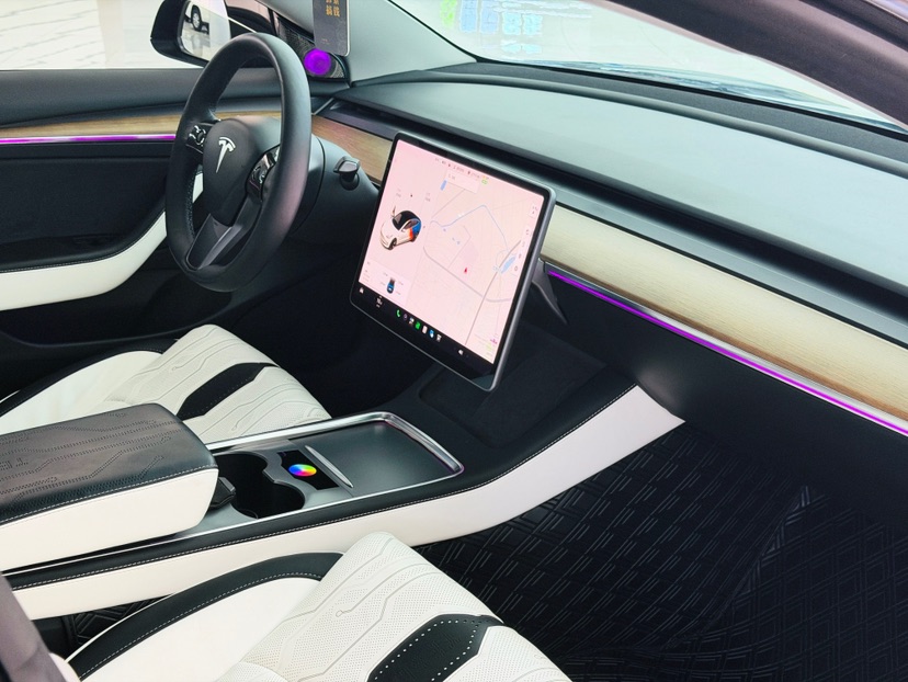 Tesla Model 3 2021 #8 Tesla Model 3 2021 car image #8