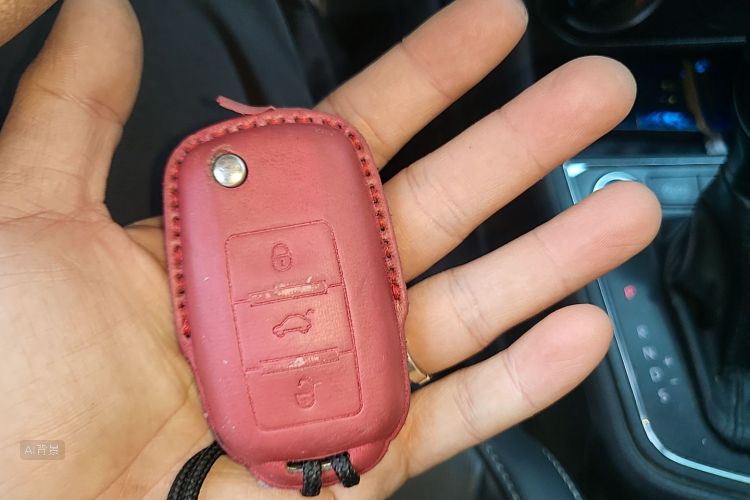 Volkswagen Lavida 2019 car image #10
