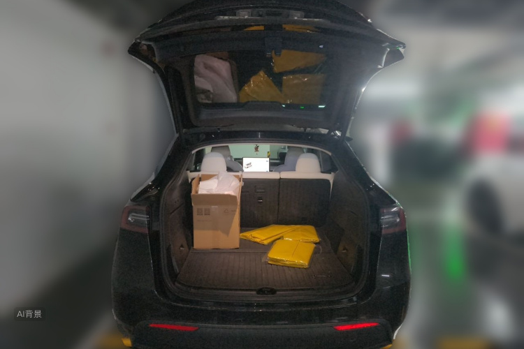 Tesla Model Y 2023 car image #21