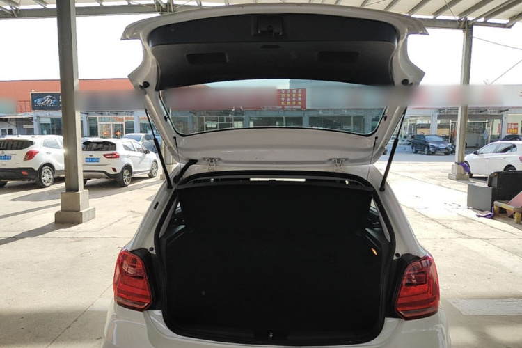 Volkswagen Polo 2016 car image #19