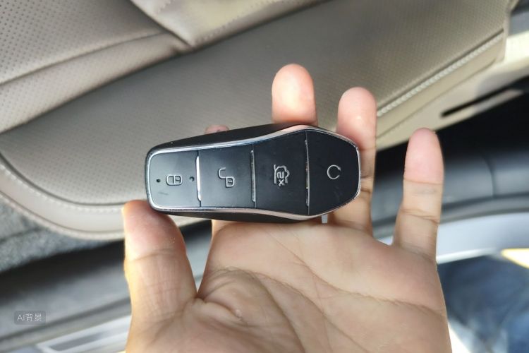 BYD Han 2022 #10 BYD Han 2022 imagen de coche #10