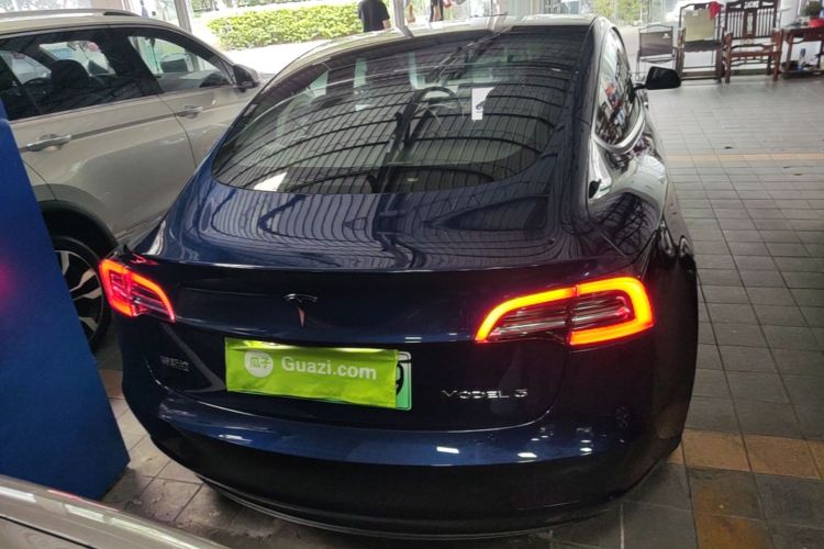 Tesla Model 3 2021 #6 Tesla Model 3 2021 car image #6