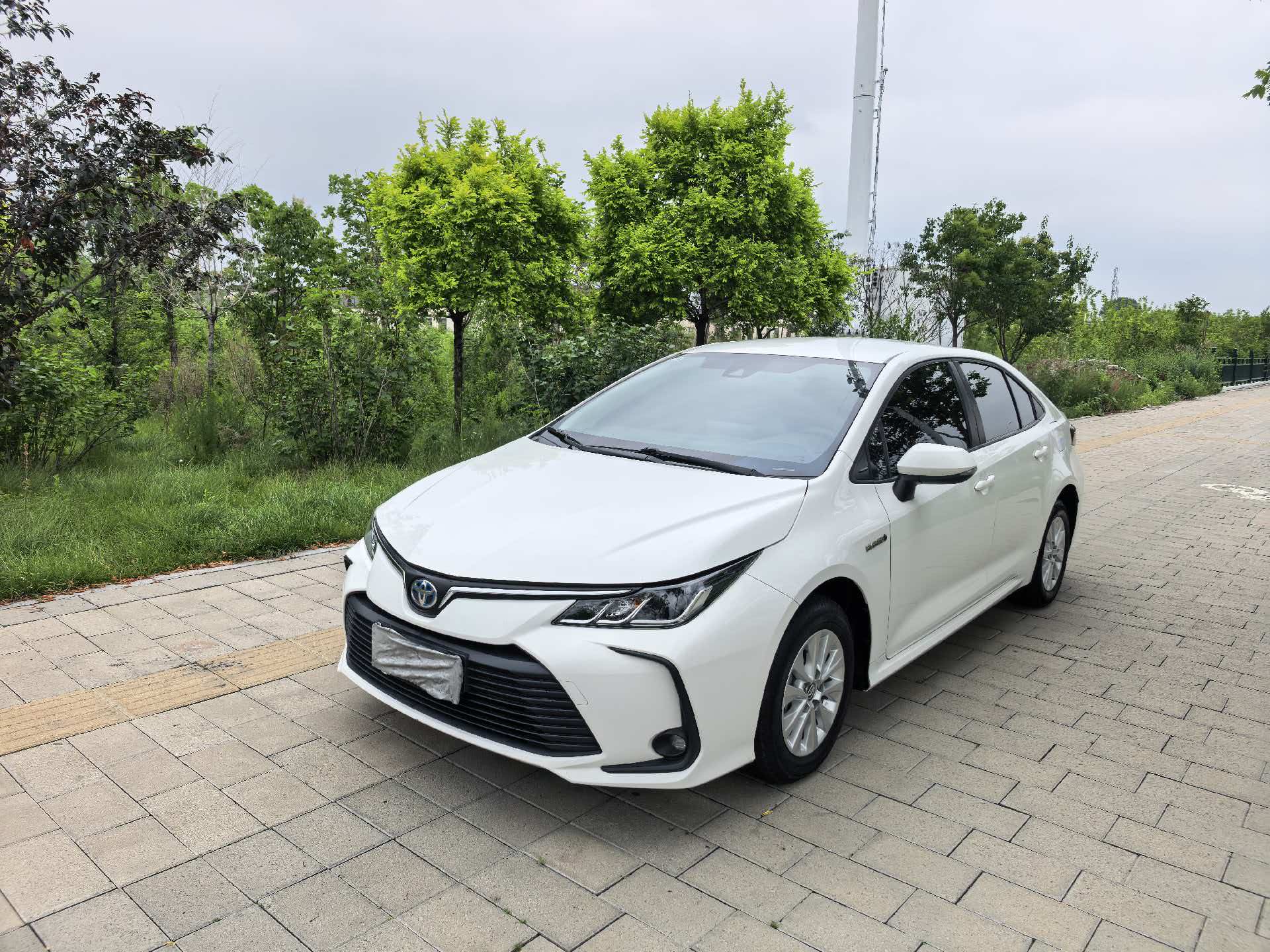 Toyota Corolla 2023 car image 