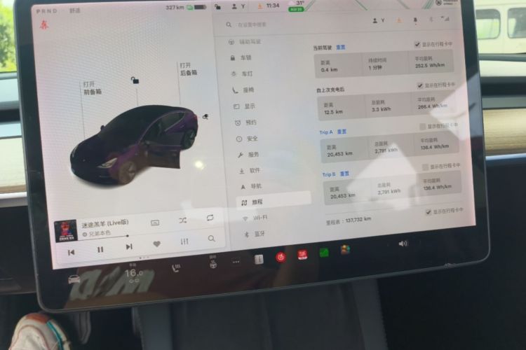Tesla Model 3 2021 car image #12